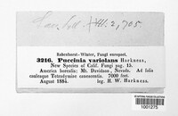 Image Associated With the Occurence